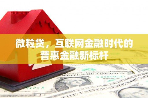 隆尧微粒贷，互联网金融时代的普惠金融新标杆