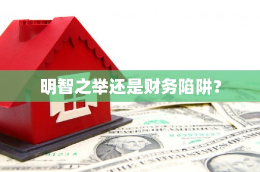 隆尧明智之举还是财务陷阱？