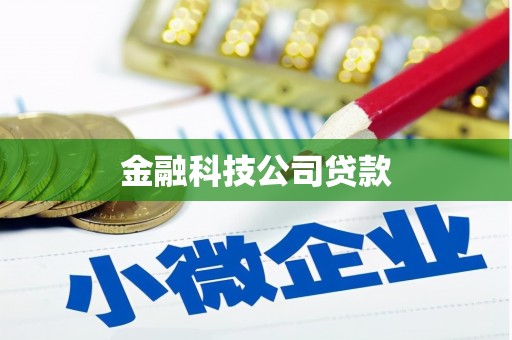 隆尧金融科技公司贷款