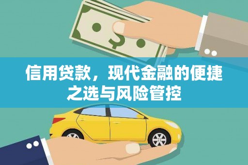 隆尧信用贷款，现代金融的便捷之选与风险管控