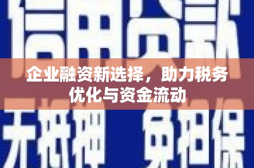 隆尧企业融资新选择，助力税务优化与资金流动