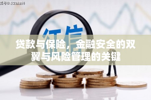 隆尧贷款与保险，金融安全的双翼与风险管理的关键