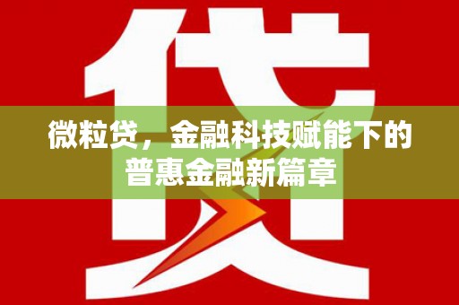 隆尧微粒贷，金融科技赋能下的普惠金融新篇章