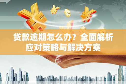 隆尧贷款逾期怎么办？全面解析应对策略与解决方案