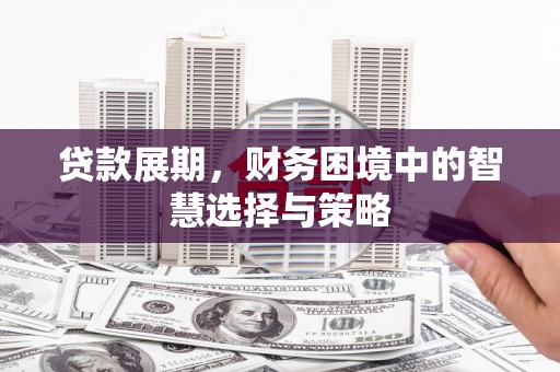 隆尧贷款展期，财务困境中的智慧选择与策略