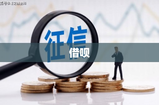 隆尧借呗