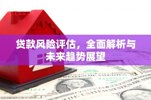 隆尧贷款风险评估，全面解析与未来趋势展望