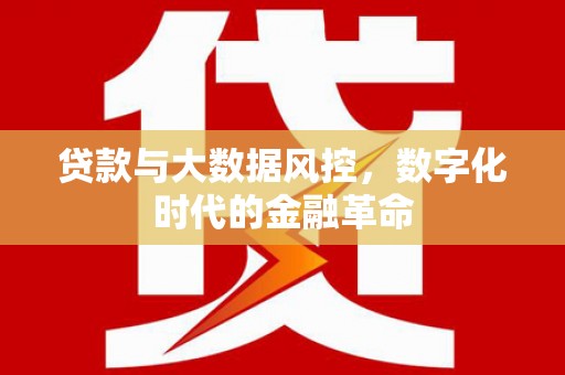 隆尧贷款与大数据风控，数字化时代的金融革命