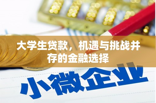 隆尧大学生贷款，机遇与挑战并存的金融选择
