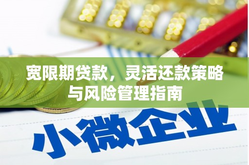 隆尧宽限期贷款，灵活还款策略与风险管理指南
