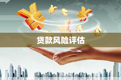 隆尧贷款风险评估