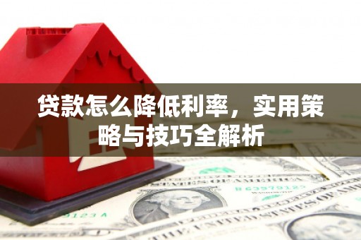 隆尧贷款怎么降低利率，实用策略与技巧全解析