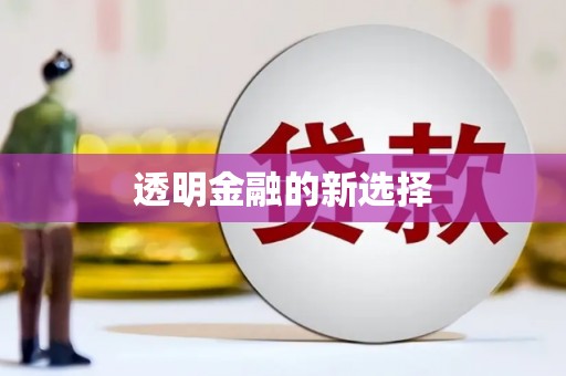 隆尧透明金融的新选择
