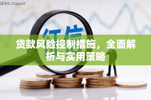 隆尧贷款风险控制措施，全面解析与实用策略