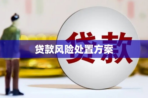 隆尧贷款风险处置方案