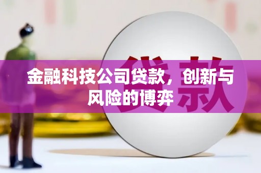 隆尧金融科技公司贷款，创新与风险的博弈