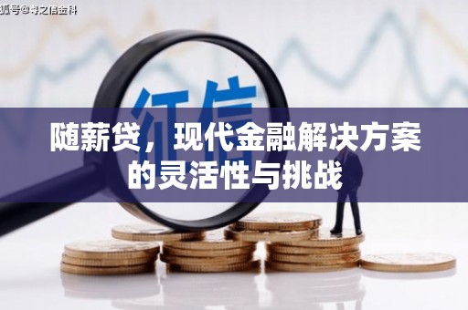 隆尧随薪贷，现代金融解决方案的灵活性与挑战