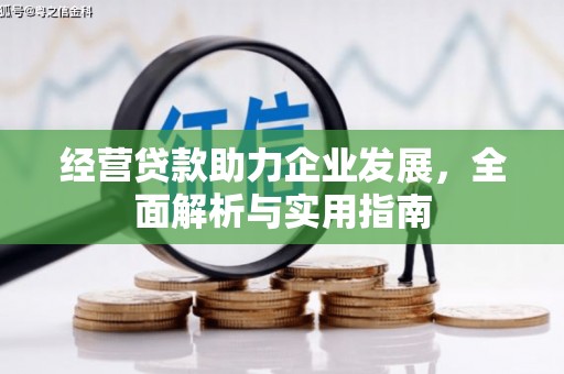 隆尧经营贷款助力企业发展，全面解析与实用指南