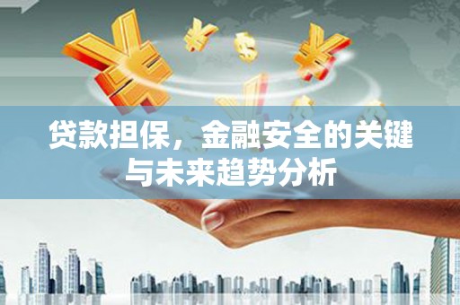 隆尧贷款担保，金融安全的关键与未来趋势分析