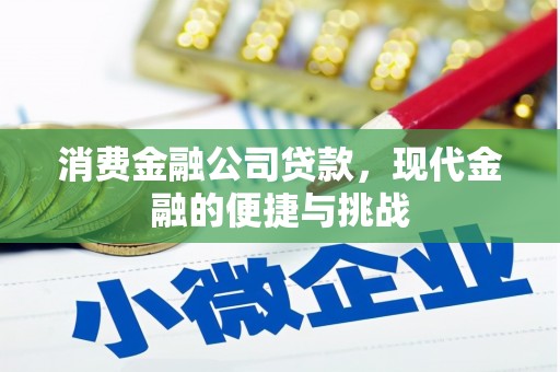 隆尧消费金融公司贷款，现代金融的便捷与挑战