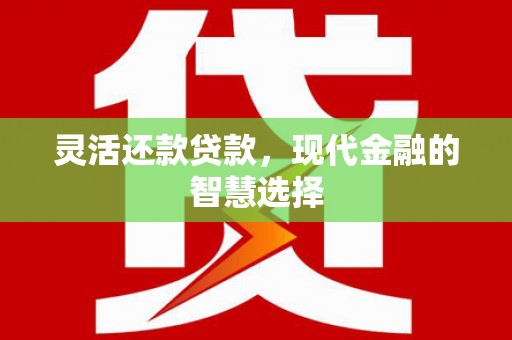 隆尧灵活还款贷款，现代金融的智慧选择