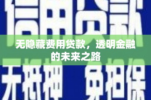 隆尧无隐藏费用贷款，透明金融的未来之路