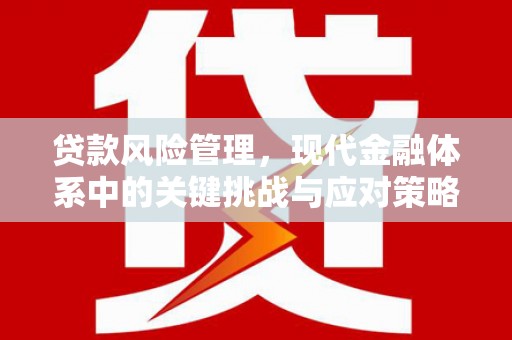 隆尧贷款风险管理，现代金融体系中的关键挑战与应对策略