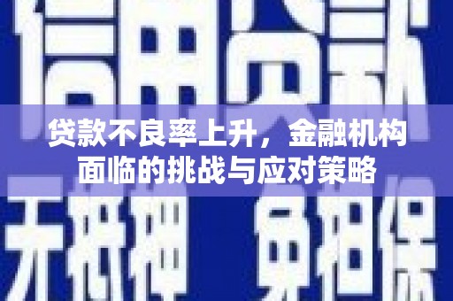 隆尧贷款不良率上升，金融机构面临的挑战与应对策略
