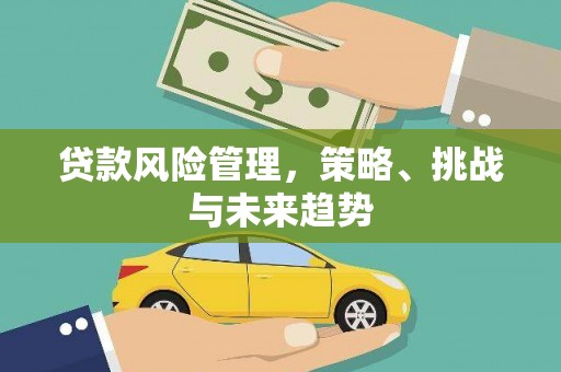 隆尧贷款风险管理，策略、挑战与未来趋势