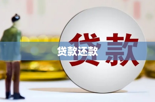 隆尧贷款还款