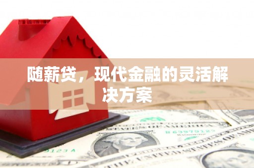 隆尧随薪贷，现代金融的灵活解决方案