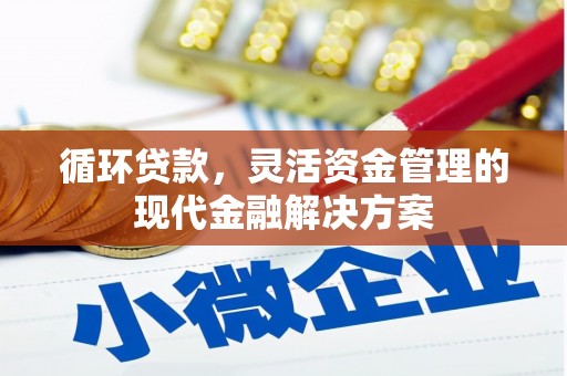 隆尧循环贷款，灵活资金管理的现代金融解决方案