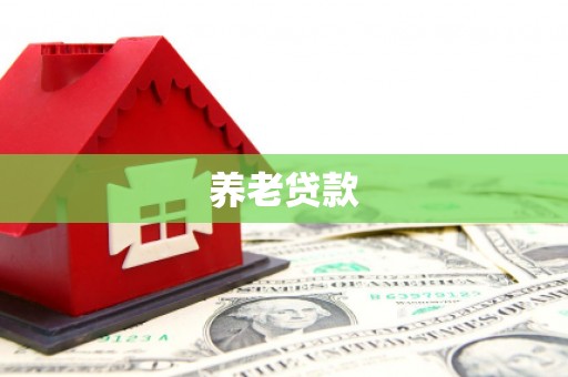 隆尧养老贷款