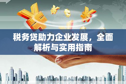 隆尧税务贷助力企业发展，全面解析与实用指南