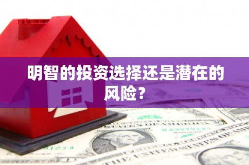 隆尧明智的投资选择还是潜在的风险？
