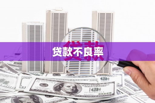 隆尧贷款不良率