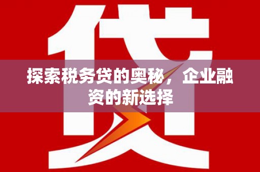 隆尧探索税务贷的奥秘，企业融资的新选择