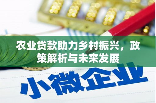 隆尧农业贷款助力乡村振兴，政策解析与未来发展