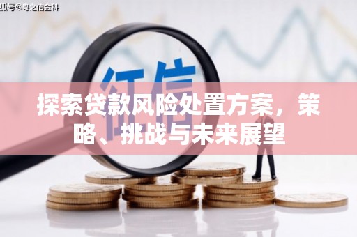 隆尧探索贷款风险处置方案，策略、挑战与未来展望
