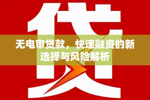 隆尧无电审贷款，快速融资的新选择与风险解析