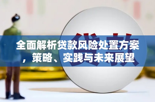 隆尧全面解析贷款风险处置方案，策略、实践与未来展望