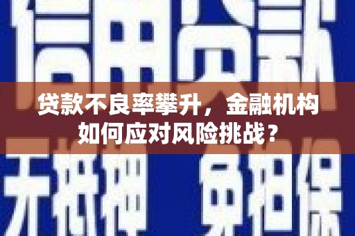 隆尧贷款不良率攀升，金融机构如何应对风险挑战？
