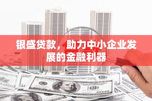 隆尧银盛贷款，助力中小企业发展的金融利器