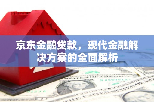 隆尧京东金融贷款，现代金融解决方案的全面解析