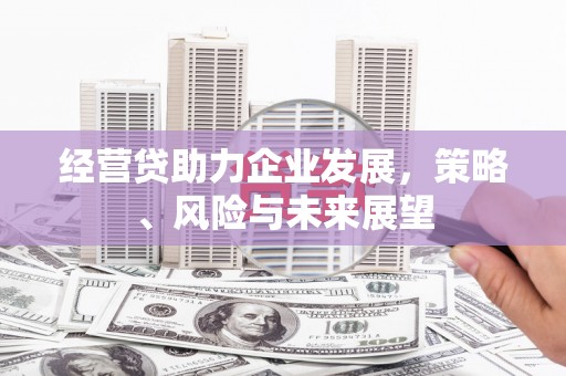 隆尧经营贷助力企业发展，策略、风险与未来展望