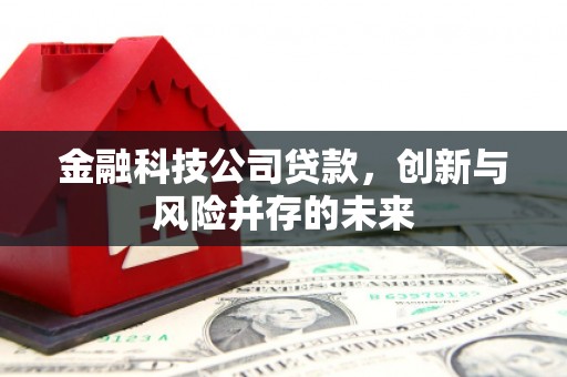 隆尧金融科技公司贷款，创新与风险并存的未来