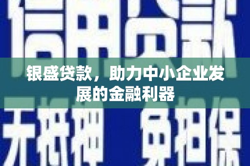 隆尧银盛贷款，助力中小企业发展的金融利器