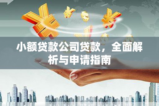隆尧小额贷款公司贷款，全面解析与申请指南