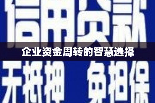 隆尧企业资金周转的智慧选择