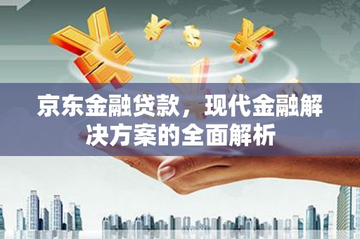 隆尧京东金融贷款，现代金融解决方案的全面解析